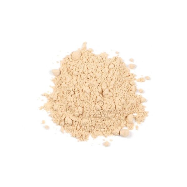 Champignon Mushroom Powder