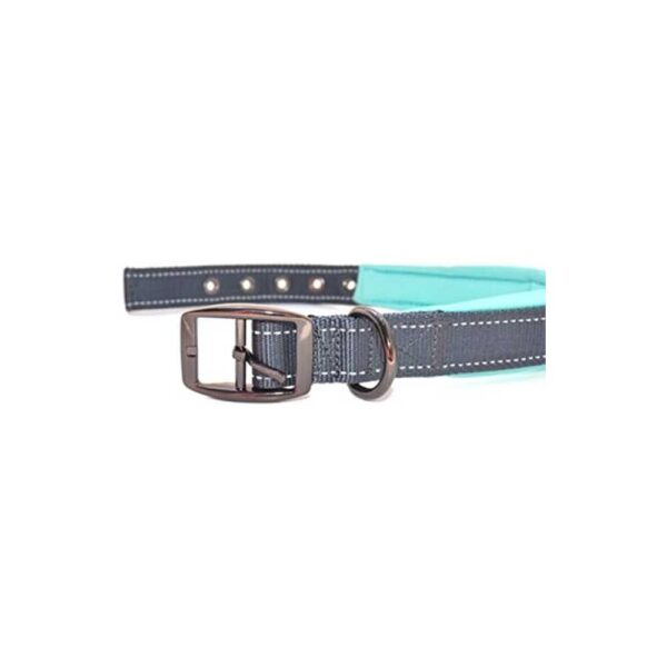 The Comfort Collar Ultra Soft Neoprene Padded Dog Collar - Image 2