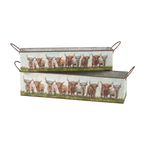 Primitives by Kathy Highland Cows Bin Set - Image 3