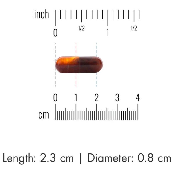 Liposomal Vitamin C -- 1000 mg - 180 Capsules - Image 5
